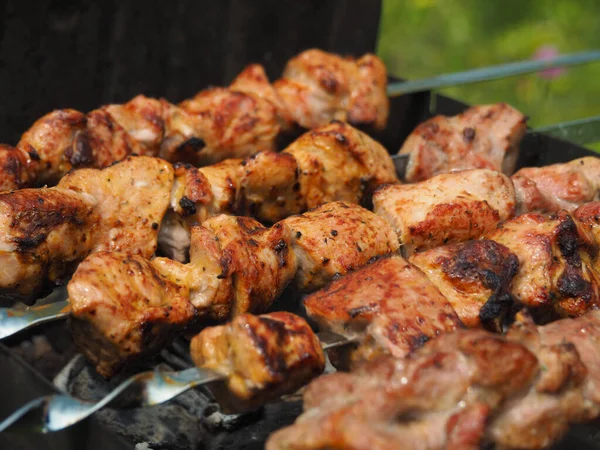Metal Skewers Grilled Pork Meat Them Grill Background Green Meadow Stock Photo