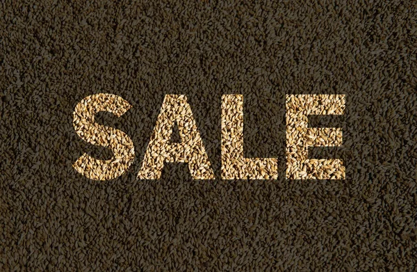 Sale Inscription Background Brown Yellow Barley Grains Top View — Stock Photo, Image