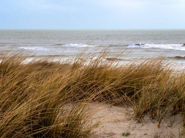 Wilde Nordsee am Strand von Texel