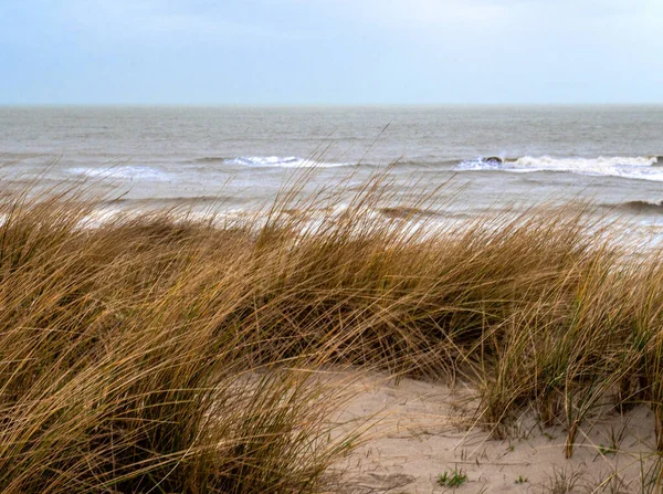 Nordseewellen Strand Von Texel — Foto Stock