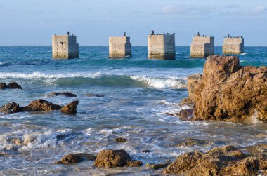 Büyük taşlar kuşlarda ile deniz manzarası