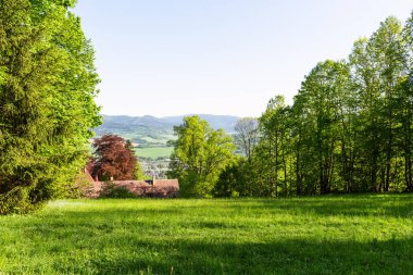 Dağların sonbahar manzarası renkli ormanlarla dolu.