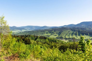 Güzel manzara dağlarda. Mavi gökyüzü, yeşil çim ve ağaçların ve ufukta arka plan dağlarda