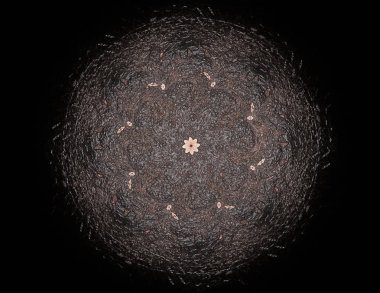 Soyut fraktal kırmızı arka plan ile kesişen daireler ve oval. disko ışıkları. Hareket illüstrasyon.