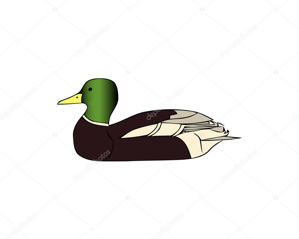 Duck icon illustration isolated on white background sign symbol. Duck vector logo. Flat design style. Modern vector pictogram for web graphics