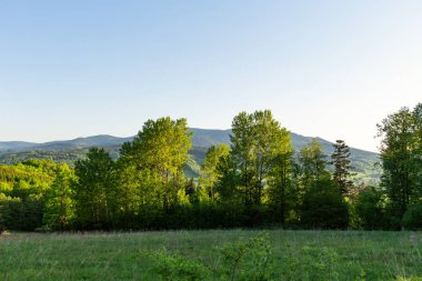 Dağlar ve çayır görkemli manzara. Dağ yolundan Bisiklete binme. Puslu dağ yolu yüksek dağlarda... Dağ yolu ile bulutlu gökyüzü.
