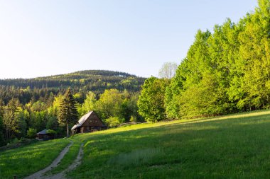 Dağlar ve çayır görkemli manzara. Dağ yolundan Bisiklete binme. Puslu dağ yolu yüksek dağlarda... Dağ yolu ile bulutlu gökyüzü.