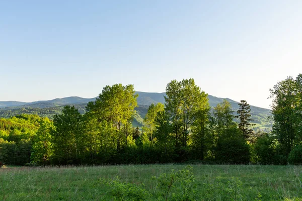 Dağlar ve çayır görkemli manzara. Dağ yolundan Bisiklete binme. Puslu dağ yolu yüksek dağlarda... Dağ yolu ile bulutlu gökyüzü.