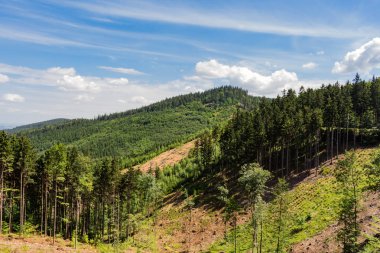 Dağlar ve çayır görkemli manzara. Dağ yolundan Bisiklete binme. Puslu dağ yolu yüksek dağlarda... Dağ yolu ile bulutlu gökyüzü.