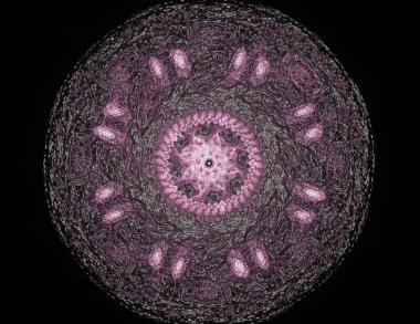 Konuyla ilgili soyut fraktal formlar grafik tasarım ve nükleer fizik bilim parçacıkların. Geometri kutsal fütüristik kuantum dijital hologram doku geliştirme dalga gerçeküstü tasarım.