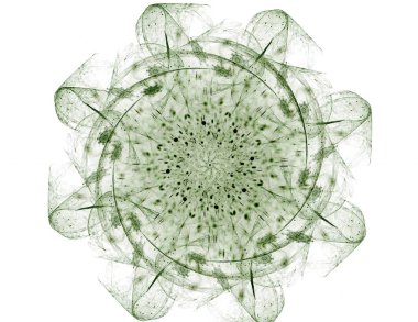 Soyut bir bilgisayar modern fraktal tasarım beyaz arka plan üzerinde oluşturulan. Fraktal renk doku soyut. Dijital sanat. Soyut Form ve renk. Soyut fraktal öğe desen tasarımınız için. Parlak deniz çiçek yıldız. Güzel soyut fraktal flo