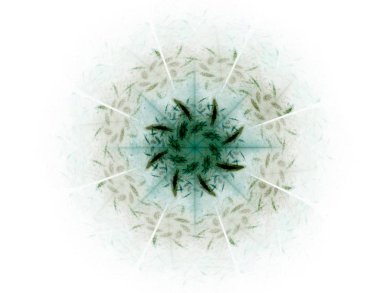 Dantelli renkli saat desen. Dijital fractal sanat tasarım. Kutsal semboller işaretler geometrisi soyut tasarım. Astroloji simya sihirli tasarımlar. Geometrik sarmal. Soyut renkli fraktal doku.