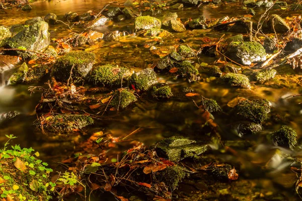 Fluxo Suavemente Cascata Uma Floresta Montanha Com Pequenas Cachoeiras Primeiro — Fotografia de Stock