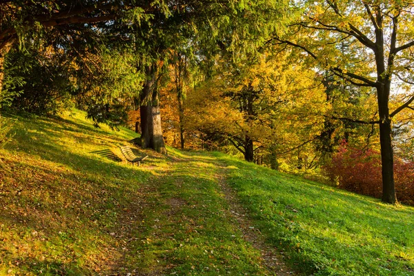 Herbst Herbst Wunderschöner Herbstlicher Park Mit Pfad Schönheit Natur Szene — Stockfoto