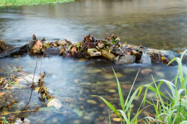 Gölün su yüzeyine kıyı ağaçlarda yansıması.