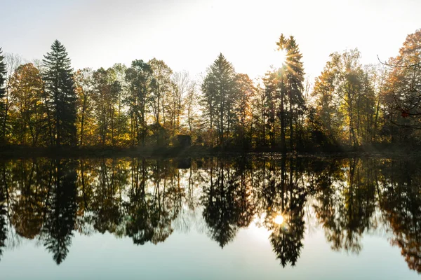 Landscape with river. Trees and bushes are reflected in water of river. Spring forest. Water surface of forest river. Beautiful spring landscape. Travel concept. Spring landscape