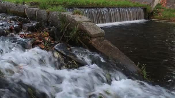 Естественная Вода Чистая Родниковая Вода Естественная Родниковая Вода Фонтаны Холодной — стоковое видео