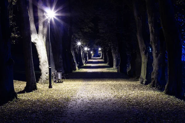 Gece park sokak geç sonbaharda ile