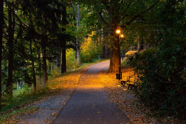 Лампы Парке Осень Закат Светлые Оранжевые Цвета Романтическая Сцена — стоковое фото