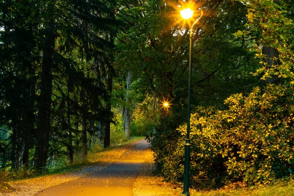 Lampen Park Herbst Und Sonnenuntergang Helle Und Orange Farben Romantische — Stockfoto