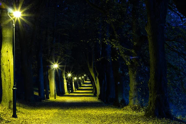 Parque Ciudad Paisaje Nocturno Con Lugar Para Descansar Paisaje Del — Foto de Stock