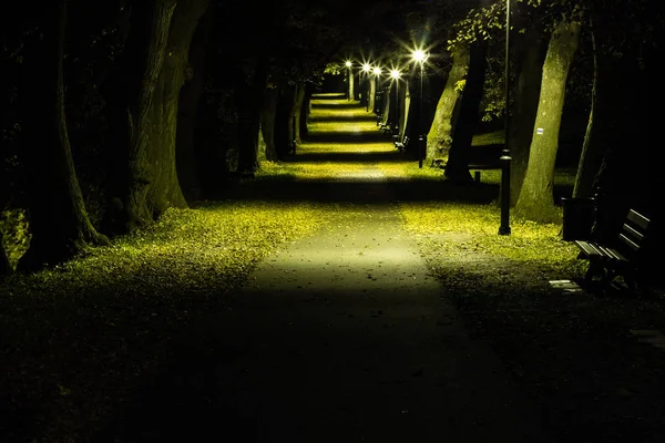 Gece park sokak geç sonbaharda ile