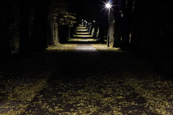 Gece park sokak geç sonbaharda ile