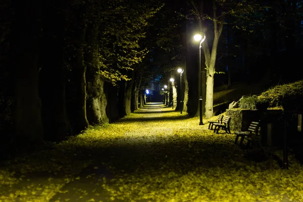 Gece park sokak geç sonbaharda ile