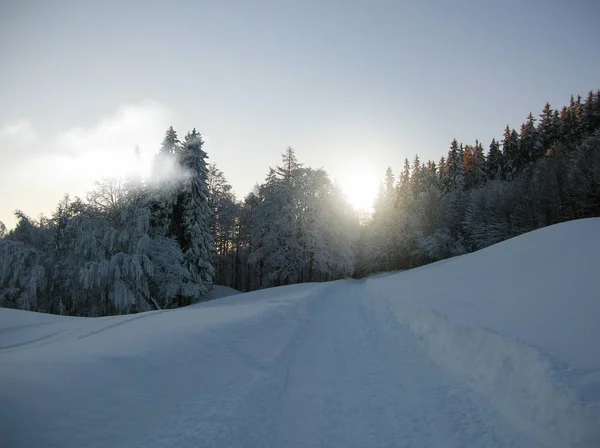 Paisagem Inverno Mágica Espantosas Terras Altas Alpinas Nevoeiro Vista Panorâmica — Fotografia de Stock