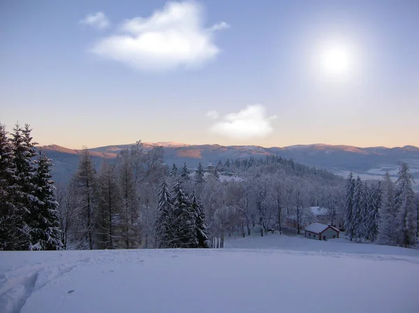 Vackert Vinterlandskap Med Snötäckta Träd — Stockfoto