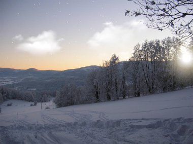 Dağlarda kar ve karla kaplı ağaçlar
