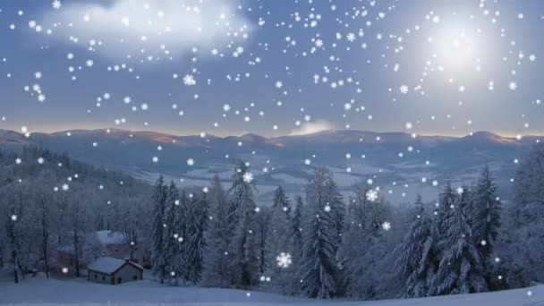 夜の空と夕日冷凍風景 雪の結晶が冬の風景上に落ちてください — ストック動画