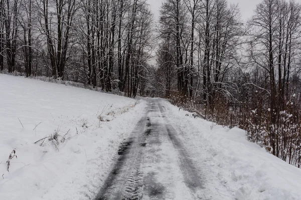 Kışın Karla Kaplı Ormanda Yol Kış Manzarası — Stok fotoğraf