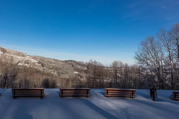 Paisaje Invernal Árboles Nevados Invierno Largo Del Parque Invierno Bajo — Foto de Stock