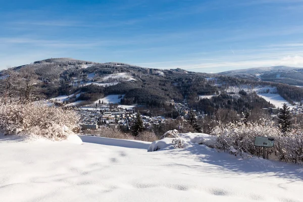 Paisaje Invernal Árboles Nevados Invierno Largo Del Parque Invierno Bajo — Foto de Stock