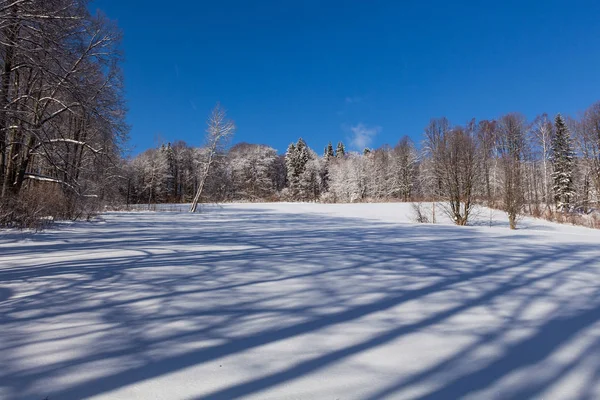 Paisaje Rural Invernal Con Prados Nevados Árboles Cubiertos Nieve — Foto de Stock