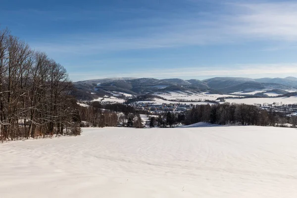 Cielo Claro Soleado Con Hermoso Paisaje Árboles Cubiertos Nieve Una —  Fotos de Stock