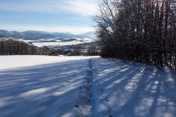 Cielo Claro Soleado Con Hermoso Paisaje Árboles Cubiertos Nieve Una — Foto de Stock