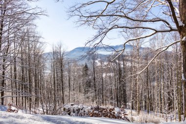 Karlı kış sabah sakin manzara renkli bir arka plan, karla kaplı ağaçlar ve bir tepeden aşağı bir yol başlığı