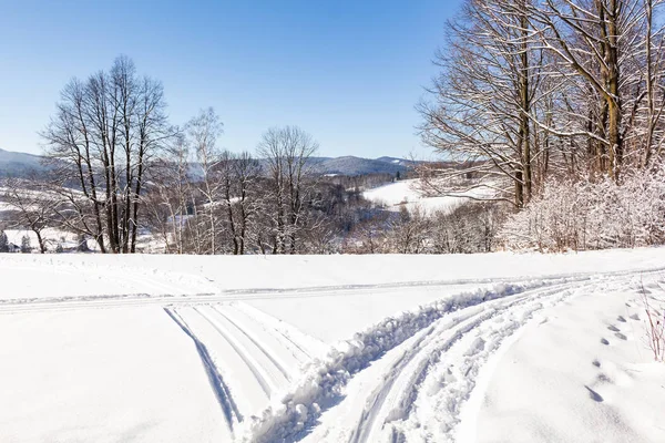 Camino Invierno Corriendo Entre Los Árboles Congelados — Foto de Stock