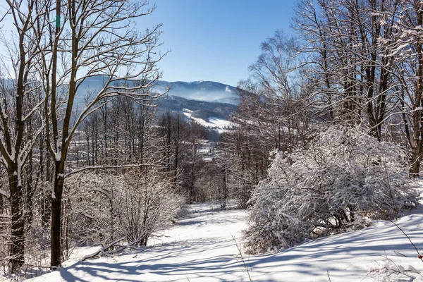 Árboles cubiertos de heladas y nieve en las montañas — Foto de Stock
