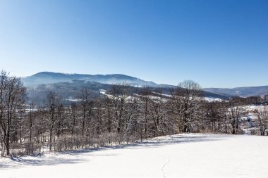 Dağlarda kar ve karla kaplı ağaçlar