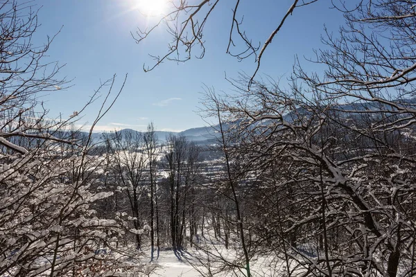 Majestuoso paisaje de invierno que brilla por la luz del sol en la mañana. Escena invernal dramática. — Foto de Stock