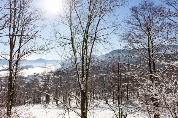 Majestuoso paisaje de invierno que brilla por la luz del sol en la mañana. Escena invernal dramática. — Foto de Stock