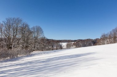 Karlı çayır ve karla kaplı ağaçlarla kışın kırsal alan