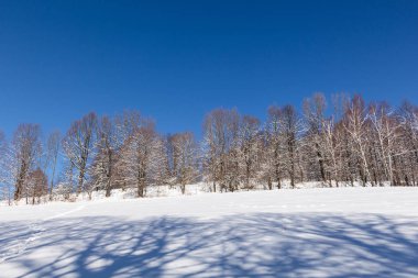 Dağlarda kar ve karla kaplı ağaçlar