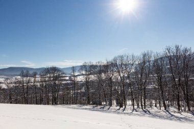 Sabahları güneş ışığıyla parlayan görkemli kış manzarası. Dramatik kış sahnesi.