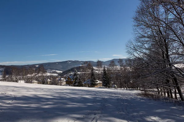 Cielo claro y soleado con un hermoso paisaje en árboles cubiertos de nieve en una mañana de Navidad evanescente en las montañas . — Foto de Stock