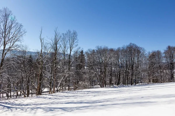 Paisaje rural invernal con prados nevados y árboles cubiertos de nieve — Foto de Stock