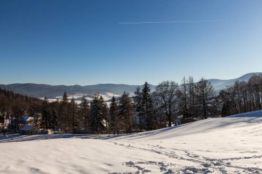 Orman ile kış Panorama peyzaj, ağaçlar kar ve gündoğumu kaplı. Yeni bir günün kış sabahı. günbatımı ile kış manzara, panoramik görünüm